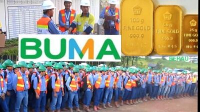 Gaji pt buma kalimantan