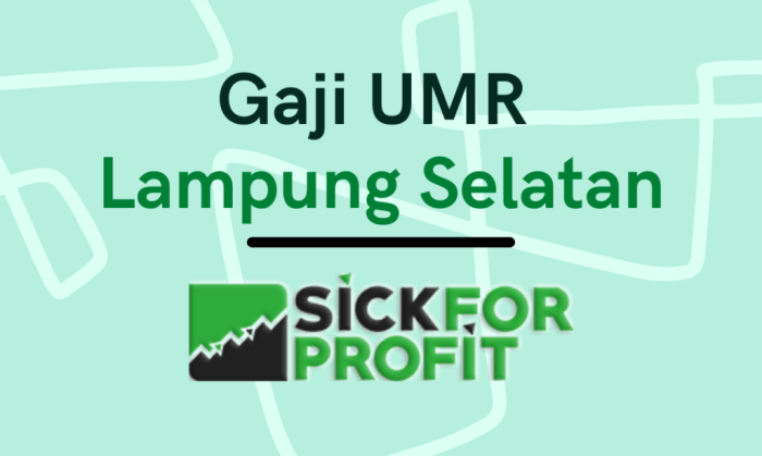 Gaji umr lampung selatan 2024 terbaru