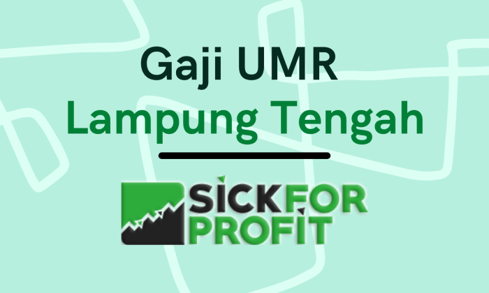 Gaji umr lampung tengah 2024 terbaru