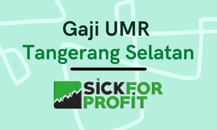 Gaji umr tangerang selatan 2024 terupdate