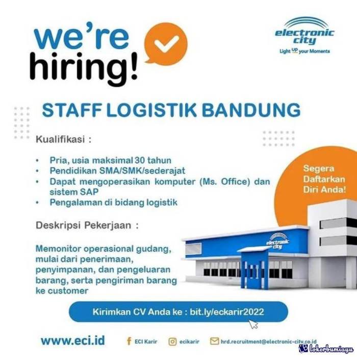 Gaji karyawan electronic city semua posisi 2024