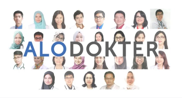 Gaji karyawan alodokter com semua posisi 2024